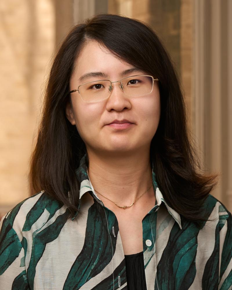 Yidi Feng